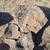 TONS Lanndscape Rocks for Waterfall water feature yard garden art 4 thumbnail