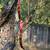 BOW-GORGEOUS ASIAN HORSE BOW-NEW 4 thumbnail
