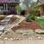Landscaping and Yard Cleanups 6 thumbnail