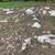 *ATTENTION * Excavators & Landscapers Free Big Rocks 5 thumbnail