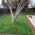 Remodel your Front or Back Yard 16 thumbnail