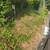 RRM Landscaping, LLC & yard maintenance 3 thumbnail