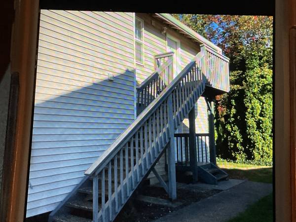 $1,550 / 2br - 800ft2 - Ferndale 2bd / 1ba Apartment upper unit (Ferndale, WA)63920958728579122