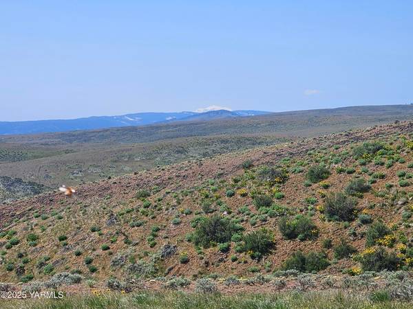 $49,900 Live off grid?  Own 40 acres of hunting property?  Build a dream home? (Yakima)64319624983171123