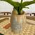 Local Etsy seller - MCM & 70s home decor, pottery, barware and more! 13 thumbnail