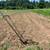 Experienced Farm Hand for Hire, Horses, Livestock, Gardens 14 thumbnail