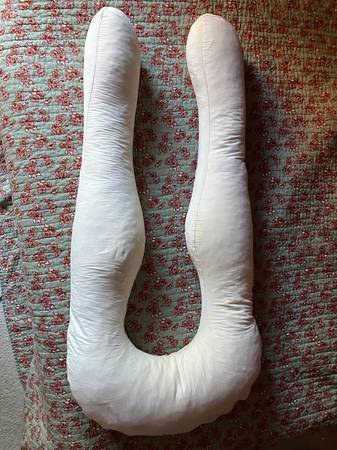 Body & Pregnancy Pillow 1