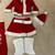 Mrs Claus Collegeville Christmas Costume Outfit Size 14/16 1 thumbnail