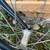 Specialized Rockhopper Mountain Bike 11 thumbnail