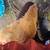 Pullets 12 thumbnail