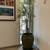 Beautiful Corner office Space in the Heart of Downtown Davis 4 thumbnail