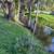 SINGLE FAMILY  HOME FOR SALE-ORLANDO FLORIDA 4 thumbnail