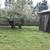 Weed eater service high grass/weeds cut it down 5 thumbnail