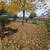 *lawn and landscape services by Jay 21 thumbnail