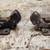 Two Military pintle hooks part number ms 51335 2 and unknown part numb 6 thumbnail