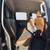 2018 Nissan Titan XD Platinum Reserve Gas 16 thumbnail
