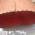 Atomic  Mid Century Rose kidney shaped spun fiberglass lamp shade A115 7 thumbnail
