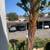 Luxury Adobe Architecture, Escondido 92025 24 thumbnail