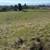 10 Acres AMAZING views Gilroy. Animal property. Duke Drive 19 thumbnail