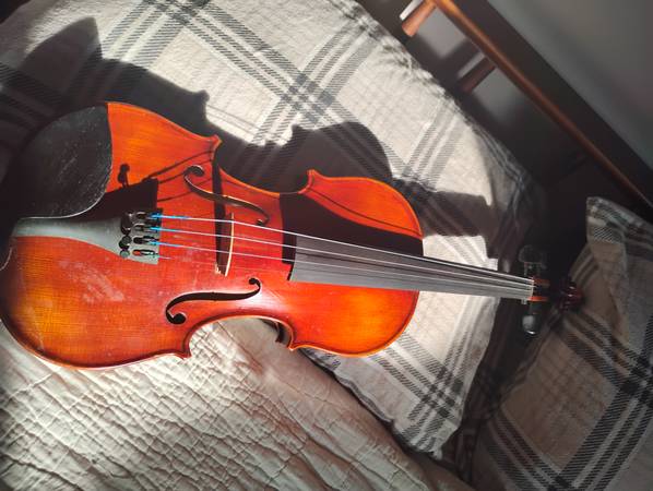 Franz Hoffman 4/4 violin 1