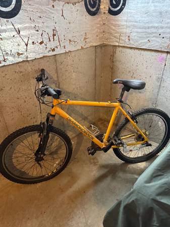 Sorrento Diamondback Mountain Bike 1