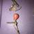 Fishing Reel’s and vintage Lure’s 3 thumbnail
