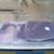 Serv View IV by Black Box Model KVT163A P/N RV2-CKVT19/SU NIB 3 thumbnail