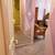2 BEDROOM - 2 BATH CONDO TO SHARE 14 thumbnail