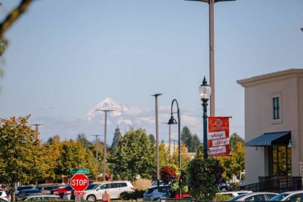 $1,478 / 2br - 901ft2 - Rental Furniture Available From CORT, Updated cabinets, Fireplace (Gresham)63672619091971124