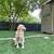 Artificial grass used (Rio Grande, tx 5 thumbnail