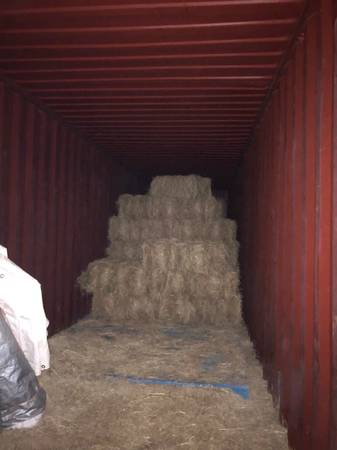 Hay-Square Bales - $5 (Elba)63440335323777121