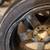 18in VERY RARE 3PC DEEPDISH JDM MANARAY WHEELS 4 thumbnail