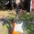Fender Japan Traditional II Late 60s Stratocaster 2020's - Sunburst 1 thumbnail
