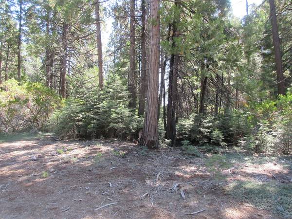 $52,000 Level 2.5 acres with septic/View of Lassen (Shingletown)63972532571138123