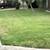 🔰🔰 TOP LAWN SERVICE AND TREES🔰🔰 2 thumbnail