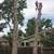 Tree Removal specialist 1 thumbnail