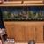 55 gallon Aquarium & wood cabinet-stand for $250. with filter, rocks, 4 thumbnail
