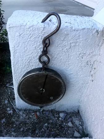 VERY OLD (ANTIQUE)  BRASS  BRITISH FISH SCALE 1