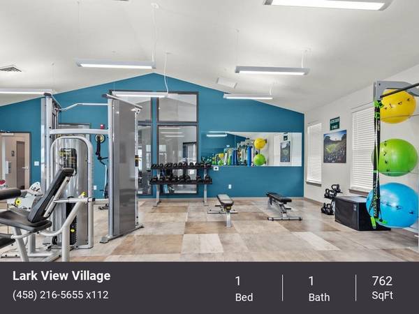 $1,632 / 1br - 762ft2 - Live in Luxury! Heated Pool, Pet Friendly, W/D  A/C! (West Churchill)63977277824770120