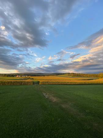 Landowners!!// Farmer seeking Tenancy 1