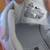 NIKE Air Max SC (PS) Kid's Shoes Size 10.5C 7 thumbnail