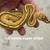 Ball pythons group 6 thumbnail