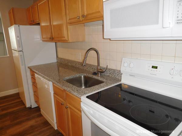 $2,695 / 2br - *NO FEE* New bath, super sunny, nicely update, great space! *NOW* (Newton)63699295130755124