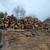 Firewood  logs for sale 1 thumbnail