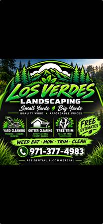 Free yard cleaning 1