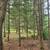 Mobile Home Lot between Rhinelander and Eagle River 14 thumbnail