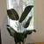 Creative Handyman/Woman / Builder for Home Projects 11 thumbnail