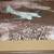 United Air Lines Douglas DC-3 Jet Mainliner Airplane Print 2 thumbnail