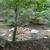 Beautiful mountain like acreage with mountain stream 11 thumbnail