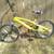 Mongooses Bike 2 thumbnail
